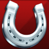 the grand national race of champions silver horseshoe symbol