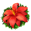 the hive redflower symbol