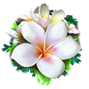 the hive whiteflower symbol