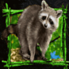 the legend of big foot racoon symbol