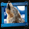 the legend of big foot wolf symbol