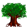 the red phoenix tree symbol