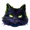 the shining globe black cat symbol