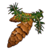 thunderbird cones symbol