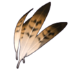 thunderbird feathers symbol