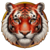 tiger and dragon wild tiger orange symbol