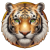 tiger and dragon wild tiger yellow symbol
