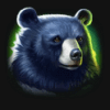 tiger jungle bear symbol