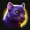 tiger jungle panther symbol