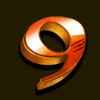 tiger warrior 9 symbol
