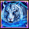 tiger warrior tiger2 symbol