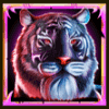 tiger warrior tiger3 symbol