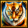 tiger warrior tiger4 symbol