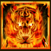 tiger warrior tiger symbol