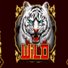 tigers charms wild symbol