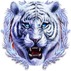 tigers claw 1