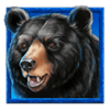 tigers luck hold and win bear symbol
