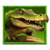 tigers luck hold and win crocodile symbol