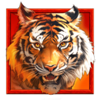 tigers luck hold and win tiger symbol