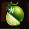 tiki time exotic wilds lime symbol