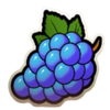 timeless diamonds hold and win grape symbol