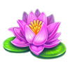toad super pot lotus symbol