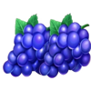 top hot 5 grapes symbol