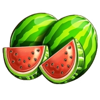 top hot 5 watermelon symbol