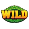 toploot payout linenpay wild symbol