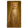 topspins games big cats cheetah symbol