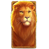 topspins games big cats lion symbol