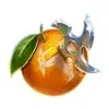 toro shogun orange symbol