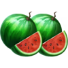 train of fortune watermelon symbol