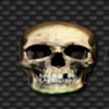 transylmania skull symbol