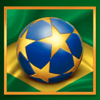 traveling treasures brazil ball symbol