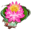 treasure koi flower symbol