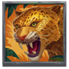 treasures of kongar leopard symbol