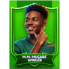 treble riches mugabe symbol