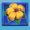triple paradise riches flower symbol