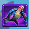 triple paradise riches turtle symbol