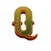 triple spicy hold and win q symbol