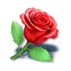 triple valentine red rose symbol