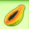 tropical 7 fruits papaya symbol