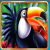 tropical downpour toucan symbol