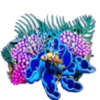 ttg dolphin gold coral symbol
