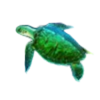 ttg dolphin gold turtle symbol