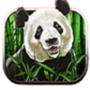 ttg more monkeys panda symbol