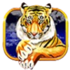 ttg more monkeys tiger symbol