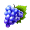 turbo fire grape symbol