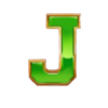 twin buffalo hold and win j symbol